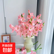 劍蘭步步高鮮花水培鮮切花唐菖蒲情人節禮物春節裝飾年宵花 劍蘭粉色10枝（60-65cm)