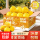 湖南懷化黔陽(yáng)黃金貢柚春香桔柚新鮮象山青甜雪峰小柚子 帶箱10斤凈重9斤(單果80-85mm)