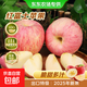 山西高山紅富士蘋(píng)果果園直發(fā)丑蘋(píng)果皮薄多汁當季新果 帶箱2斤凈重1.6斤【高山80特大果】