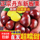 【東東買(mǎi)菜】25年新鮮丹東板栗糖炒栗子水果蔬菜 丹東板栗 1斤