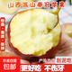 正宗山西秦冠應季新鮮水果粉面寶寶丑蘋(píng)果老人季刮泥一整箱批發(fā) 帶箱9斤特惠中果70mm+可脆可粉面