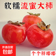 【頭茬爆甜】新鮮吊紅蜜柿珍珠無(wú)核一口吸火晶軟柿子迷你大柿子 【放軟后更甜】高山種植-10年老果樹(shù) 凈重4.5斤【特大果】單果140克起步