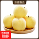 山東奶油富士蘋(píng)果黃金奶油富士蘋(píng)果水果 產(chǎn)地直發(fā) 2斤裝6-9顆凈重1.7斤65mm