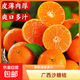 【香甜多汁】廣西砂糖橘新鮮水果橘子甜蜜多汁小桔子整箱 砂糖橘8斤（凈重7.5斤）40mm+