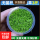 瘋狂水草魚(yú)缸造景擺件莫斯植物爬地矮珍珠日本趴地增氧高珍珠水草 （無(wú)螺無(wú)菌杯）迷你牛毛草3杯