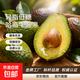 云南國產(chǎn)哈斯牛油果 老樹(shù)奶酪牛油果 新鮮孕婦水果寶寶輔食鱷梨 單果克重：190-210g 2粒嘗鮮裝