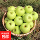 山東金帥青蘋(píng)果丑蘋(píng)果水果新鮮應當季孕婦酸脆甜紅富士整箱 凈重5斤（60-65mm）