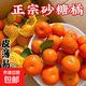 正宗廣西砂糖橘沙糖桔新鮮水果當季蜜桔桂林橘子貢柑整箱 帶箱1斤 小果（30-40mm）