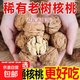 云南核桃老樹(shù)薄皮核桃無(wú)苦澀原味香脆自然果散裝零食堅果新鮮 2500g老品種薄皮核桃-送開(kāi)果器