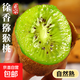 陜西徐香獼猴桃生鮮水果佳沛同款奇異果水果彩箱 15枚單果70-90g