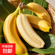 正宗廣西小米蕉當季新鮮水果萬(wàn)澄裝自然熟小香蕉現摘現發(fā)產(chǎn)地直發(fā) 【帶箱3斤】小米蕉