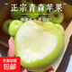 青蘋(píng)果金帥綠蘋(píng)果青水果新鮮應當季丑蘋(píng)果整箱紅冰糖心富士 帶箱2斤（60-65mm）
