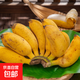 京喜加廣西小米蕉當季水果小雞米蕉新鮮自然熟香蕉產(chǎn)地直銷(xiāo)蘭和 帶箱8斤凈重7.5斤