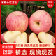 高山正宗紅富士蘋(píng)果果園現摘新鮮水果酸甜多汁丑蘋(píng)果現摘現發(fā) 【帶箱9斤】小果70mm