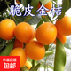 脆皮金桔嫁接苗盆栽地栽南方北方都可種植 5年苗 （2棵裝） 81cm(含)-110cm(含)