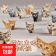 手工3D立體折紙可愛(ài)迷你小貓小狗折疊創(chuàng  )意幾何紙質(zhì)DIY折紙 網(wǎng)紅立體折紙【Z0159】小貓 1套 50張