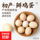 京喜加新鮮雞蛋鮮雞蛋山林自養雞蛋40g正負5g早餐買(mǎi)菜溏心蛋京東包郵 【初產(chǎn)谷飼鮮雞蛋40g-50g】10枚
