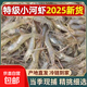 新鮮小河蝦淡水河蝦小河蝦鮮活急凍青蝦草蝦醉蝦 小河蝦 300g(凈重)  /袋