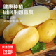 河南新鮮黃皮黃心土豆現挖洋芋土豆馬鈴薯 新鮮現貨河南產(chǎn)地直發(fā) 黃心土豆 中果 2斤