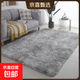 地毯臥室滿(mǎn)鋪北歐ins客廳茶幾床邊少女房間床下毛絨網(wǎng)紅毛毯地墊 淺灰色 200*300cm