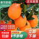 重慶奉節臍橙新鮮應季水果香甜多汁福本臍橙皮薄手剝橙子整箱批發(fā) 奉節臍橙【凈重10斤】 【單果280-400克一個(gè)】