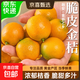 融安脆皮金桔金橘子孕婦小金柑當季水果送禮年貨獨立包裝糖果袋 （3號特大果）凈重3斤 糖果袋獨立包裝【脆甜不澀】