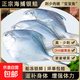 東海特產(chǎn)深海捕撈銀鯧魚(yú)船凍批發(fā)味鮮凈重5-6條/500g渠鮮碼頭特供 五斤