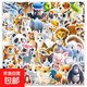100張卡通小動(dòng)物3D貼紙高顏值可愛(ài)熊貓猩猩老虎兒童裝飾貼畫(huà) 100張動(dòng)物3D貼紙【2套重復】 無(wú)規格