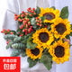 向日葵混搭鮮花家用水養插花云南基地直發(fā)簡(jiǎn)易混搭水養花束 向日葵5枝+紅豆5枝十尤加利葉10枝