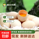 黑鳳雞可生食新鮮雞蛋禮盒 生鮮雞蛋鮮雞蛋 無(wú)菌蛋 營(yíng)養早餐 送禮 20枚土雞蛋