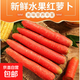 新鮮四川紅皮水果胡蘿卜 帶箱2斤