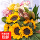 向日葵混搭鮮花家用水養插花云南基地直發(fā)簡(jiǎn)易混搭水養花束 向日葵5枝+隨機百合6朵+隨機洋桔梗10朵