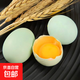 純放養烏雞蛋五黑綠殼雞蛋散養雞蛋蟲(chóng)草雜糧雞蛋新鮮現撿現發(fā) 綠殼蛋30枚