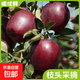 甘肅天水黑鉆蘋(píng)果新鮮水果蛇果產(chǎn)地直發(fā)美味限購 70-75mm4.8斤裝【實(shí)惠中果】