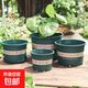 新款加侖盆栽花盆加厚塑料簡(jiǎn)約多肉小盆陽(yáng)臺客廳月季玫瑰大號家用 矮款1加侖(口徑15cm)2個(gè)盆 不帶托盤(pán)