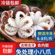 鮮活速凍迷你八爪魚(yú)足生鮮魚(yú)類(lèi)八帶爆頭食材火鍋保鮮章魚(yú)海鮮凈重 500g/包（6-8只/斤） 【含20%保護冰衣】 1斤(凈重)  去眼去牙去內臟免處理