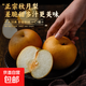 京喜加 山東秋月梨新鮮清甜可口京東快遞冰糖梨子脆甜多汁新鮮水果-胤焱 【含箱重】9斤單果200g+凈重約8.2斤