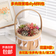 手提大花籃多肉植物組合盆栽38女神節禮品公司活動(dòng)多肉diy材料包 花籃B款（隨機多肉12個(gè)）花籃+多肉+土 材料包一套送工具鏟子