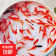 金魚(yú)草金魚(yú)觀(guān)賞魚(yú)冷水小魚(yú)苗新手好養耐活闖缸京東快遞 更快更好 3-7cm紅草金買(mǎi)5條送5條(加備損)