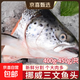 三文魚(yú)排挪威進(jìn)口新鮮中段低脂魚(yú)扒深海三文魚(yú)大西洋鮭魚(yú)類(lèi)凈重 挪威三文魚(yú)頭 400g *3只
