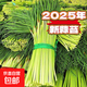 生鮮蔬菜新鮮農家蒜薹 1斤（品嘗裝）