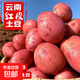 【9斤特價(jià)】云南紅皮大土豆現挖現發(fā)粉糯土豆新鮮蔬菜熱賣(mài)整箱裝 家庭實(shí)惠裝含箱9斤【100g起步中果】
