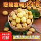 湖北恩施富硒小土豆黃心國家地標蔬菜高山種植雞蛋大小生鮮京東 富硒小土豆 9斤含箱