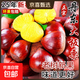 【品質(zhì)很好】正宗丹東大板栗頭茬果種植戶(hù)直供非油栗可生吃送栗爪 正宗丹東大板栗頭茬果 6斤