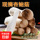 【東東買(mǎi)菜】新鮮杏鮑菇雞腿菇火鍋蘑菇蔬菜菌菇鮮菇打邊爐 500g*1袋