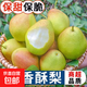 京喜加特級國產(chǎn)紅香酥梨爆甜多汁新鮮水果產(chǎn)地直發(fā)建業(yè)1 大果帶箱2斤裝，凈重1.8斤單果100g