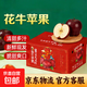 花牛蘋(píng)果 甘肅當季新鮮紅蛇粉面蘋(píng)果嬰兒輔食水果中秋禮盒送禮 花牛蘋(píng)果凈重4.5斤70MM+
