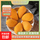 正宗臺芒海南小臺芒果新鮮熱帶水果非大臺應季農薄皮整箱 -全站 小臺芒帶箱5斤單果70-100克