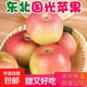 國光小蘋(píng)果東北特產(chǎn)老樹(shù)小蘋(píng)果產(chǎn)地直發(fā)香甜多汁孕婦寶寶水果 大果帶箱約9斤裝，凈重8.2斤