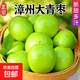 福建牛奶大青棗新鮮水果當季現摘貴妃冬棗脆甜蜜棗【送酸梅粉】 3斤凈重裝（單果50g+）